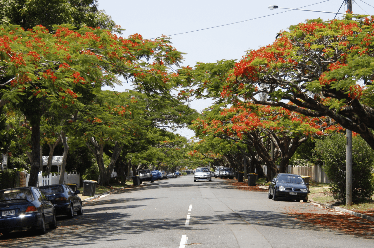 Ascot Suburb in Brisbane